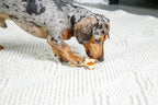 Chew ‘n Clean Chew Toy and Treat in One Chicken Flavored Tri-Point Dog Toy - Image 6