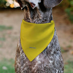 Peanuts Pet Bandana Peanuts Woodstock Pose Close Up Yellow Slip On Collar - Image 5
