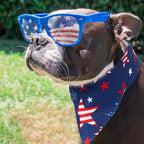 Sanwuta 48 Pcs 4th of July Dog Bandanas - Image 5