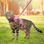 PUPTECK Cat Harness and Leash Set Escape Proof, Reflective Adjustable Soft Mesh - Image 6