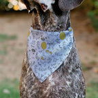 Disney Pet Bandana Winnie The Pooh Balloon Pose and Foliage Collage Slip On - Image 4