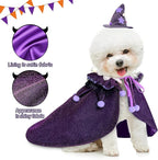 KOUPA Pet Halloween Costume - Image 6