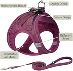 Dog Harness with Leash Set, No Pull Adjustable Reflective Step-in Puppy Pet - Image 2