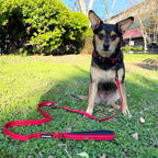 Best Pet Supplies Voyager Reflective Dog Leash or Collar - Image 5
