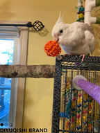 10-Pack Bird Toys for Parrots – Natural Rattan & Plastic Bell Balls – Safe - Image 5