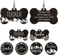 Ultra Joys Personalized Stainless Steel Bone Pet ID Tags by UltraJoys