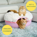 CATTASAURUS Peekaboo Cat Cave for Multiple & Large Cats Up to 30-45 Lbs - Image 5
