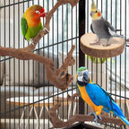 Parrot Perch Bird Perch Stand Set Natural Wild Wood Grape Sticks Paw Grinding - Image 5