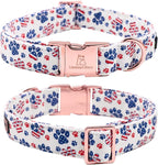 Lionheart Glory American Flag Dog Collar - Image 3