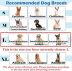 Hard & Heavy Plastic Dog Cone Collar Alternative - Image 4