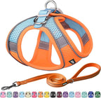AIITLE Comfortable Dog Harness and Leash Set by AIITLE-FORPETSBETTERLIFE