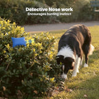 Race&Herd Original Dog Scent Training Kit, Scent Work Training Kit - Image 5