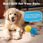 HIPPIH Indestructible Squeaky Dog Toys, Interactive Dog Balls 2 Pack, Dog Chew - Image 8