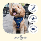Lucy & Co. Space Doodle, Cute Reversible Dog Harness Walking Halter - Image 4