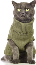 Stretchy Cat Sweater - Image 2