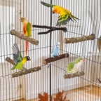 Hypeety Natural Wood Bird Perch - Image 6