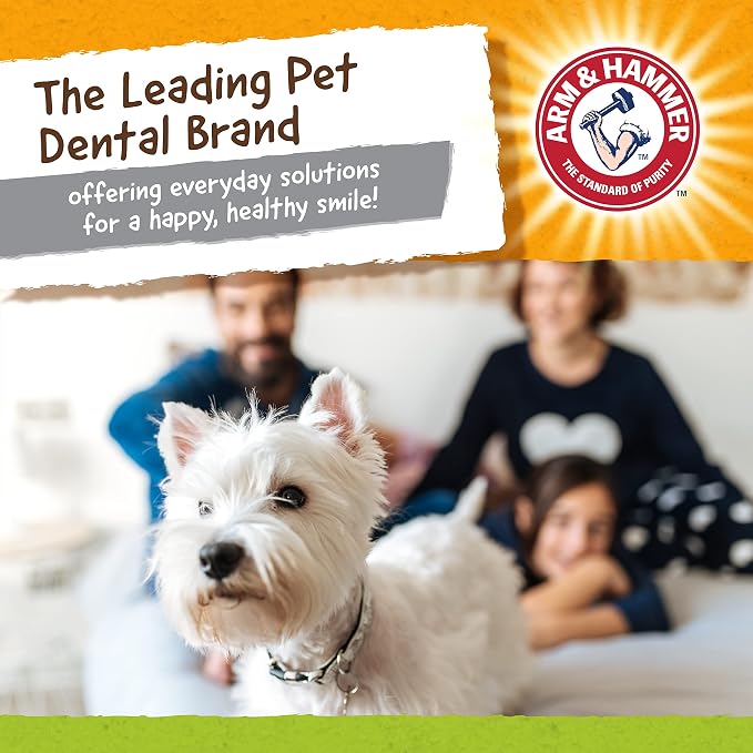 Arm & Hammer Nubbies Duality Bone, A Dental Chew Toy - Image 7