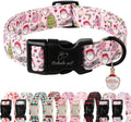 Christmas Dog Collar for Puppy Small Dogs by Babolepet