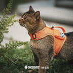 OneTigris Cat Harness and Leash - Image 9