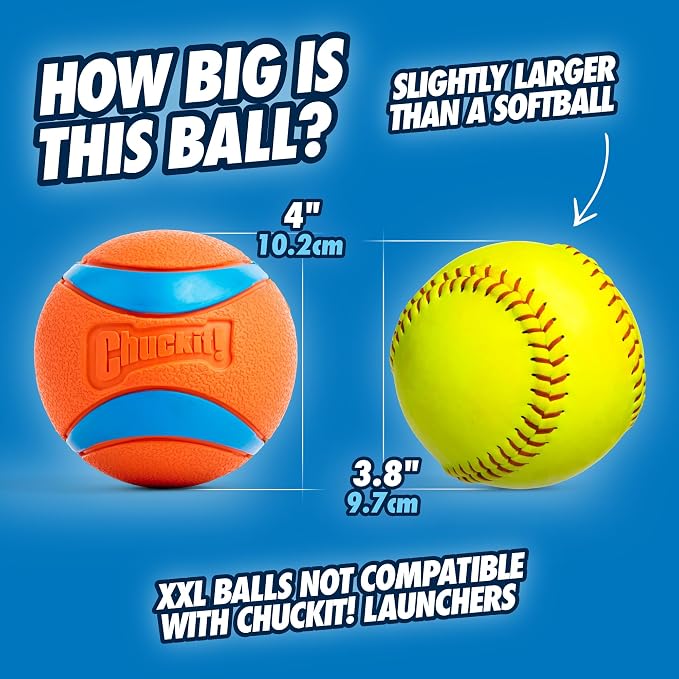 Chuckit! Ultra Ball Dog Toy - Image 2