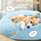 JOLLYVOGUE Calming Dog Bed for Small Dogs - Image 2