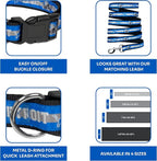 NFL Detroit Lions Dog & Cat Collar - Image 6