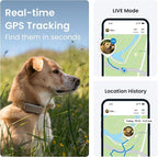 Tractive GPS Dog Tracker Real-time Pet Location Tracker | Health & Wellness - Image 2
