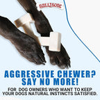 Bullibone Nylon Dog Chew Toy Spin-a-Bone - Image 4
