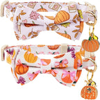 Faygarsle 2 Pack Fall Pumpkin Cat Collar by Faygarsle