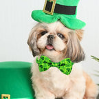 St. Patrick Day Dog Collar Adjustable Puppy Collar - Image 4