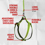 Filbert Cat Harness and Leash Set - Image 5