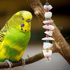 2 Pack Bird Toys with Cuttlebone, Parakeet Toys, Bird Beak Grinding Stone - Image 6