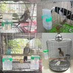 Automatic Bird Water Dispenser Parrot Water Feeder Bird Seed Food Container - Image 4