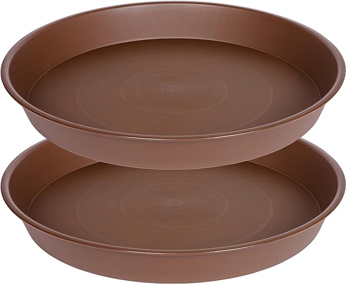 2 Pack of 8 inch Plant Saucer Clear, Heavy Duty Plastic Plant Water Tray 8 inch by Bleuhome