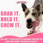 Bullibone Nylon Dog Chew Toy for Aggressive Chewers - Image 7