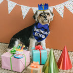 STMK Dog Birthday Party Supplies - Image 7