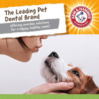 Arm & Hammer for Pets Nubbies Dental Toys T-Rex Dental Chew Toy for Dogs Best - Image 8
