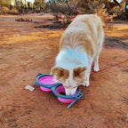 Loving Pets Bella Roma Double Diner Collapsible Dog Bowls - Image 6