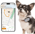 Pawfit Lite for Small Dogs 4g GPS Tracker | Real Time Tracking | Activity by Pawfit