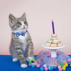 ADOGGYGO Birthday Cat Collars - Image 3