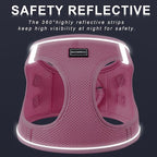 BOOMIBOO Dog Harness with Leash Set, No Pull Adjustable Reflective Step-in - Image 4