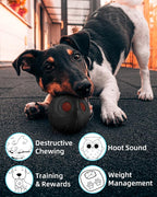 Giggle Ball for Dogs Owl Dog Toys for Aggressive Chewers Gift for Dog Natural - Image 5