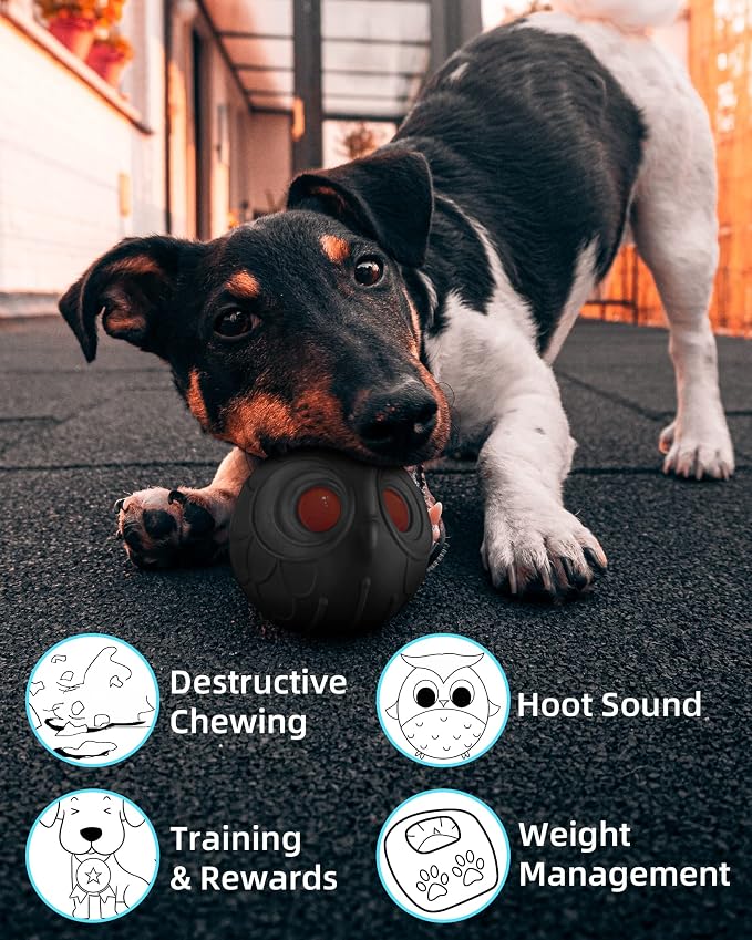 Giggle Ball for Dogs Owl Dog Toys for Aggressive Chewers Gift for Dog Natural - Image 5