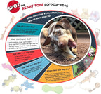 SPOT Play Strong Bone- Durable TPR Long Lasting Dog Chew - Image 9