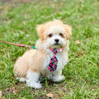Reginary 100 Pieces Dog Bow Tie Collar Set Include 40 Dog Neckties, and 30 - Image 5