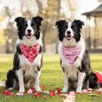 ADOGGYGO Valentine Dog Bandanas 2 Pack, Reversible Heart Love Print Pet Scarf - Image 3