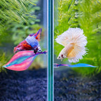 WILLBOND 2 Pcs Blue Pink Silicone Betta Fish Bed Leaf Hammock Betta Fish Tank - Image 6