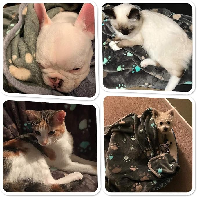 Allisandro 350 GSM Super Soft and Premium Fuzzy Flannel Fleece Pet Dog Blanket - Image 8