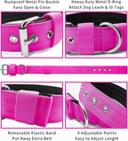 Heavy Duty Tactical Dog Collar - Image 3
