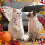 SCENEREAL Fall Thanksgiving Cat Bandana Collar - Image 2
